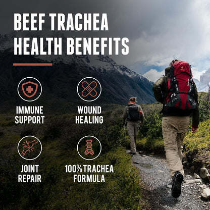Grass Fed Beef Trachea - New Zealand Sourced, 3000mg (200 Capsules)