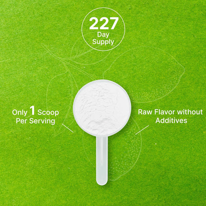 Organic Lemon Powder, 454g – Real Freeze-Dried Source – Rich in Essential Vitamin C – Natural Immune Support – Raw Lemon Juice Flavour & Aroma – Non-GMO, Filler Free, No Sugar