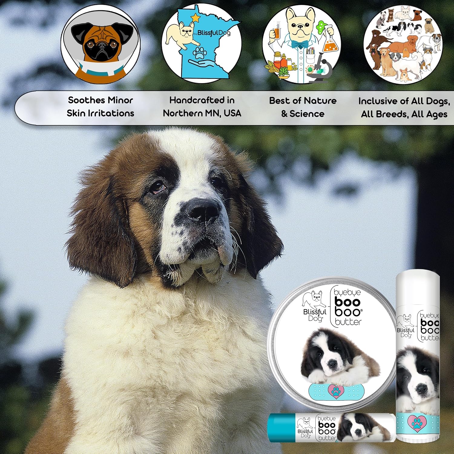 The Blissful Dog 57 g TIN St. Bernard Booboo Butter - görsel 5