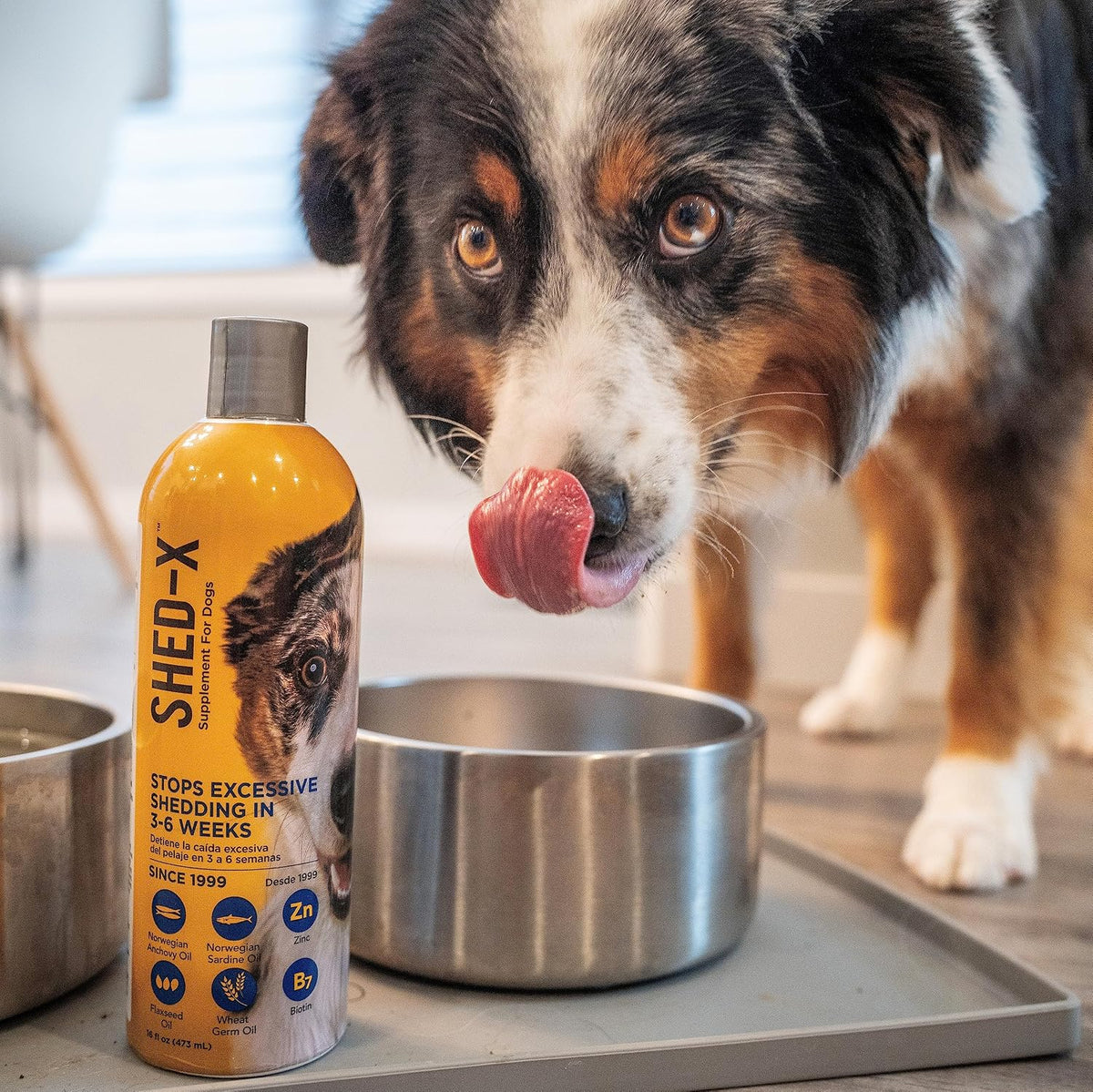 Shed-X Liquid Dog Supplement, 473ml – 100% Natural – Helps Control Excessive Shedding with Omega-3 Fish Oil - görsel 2