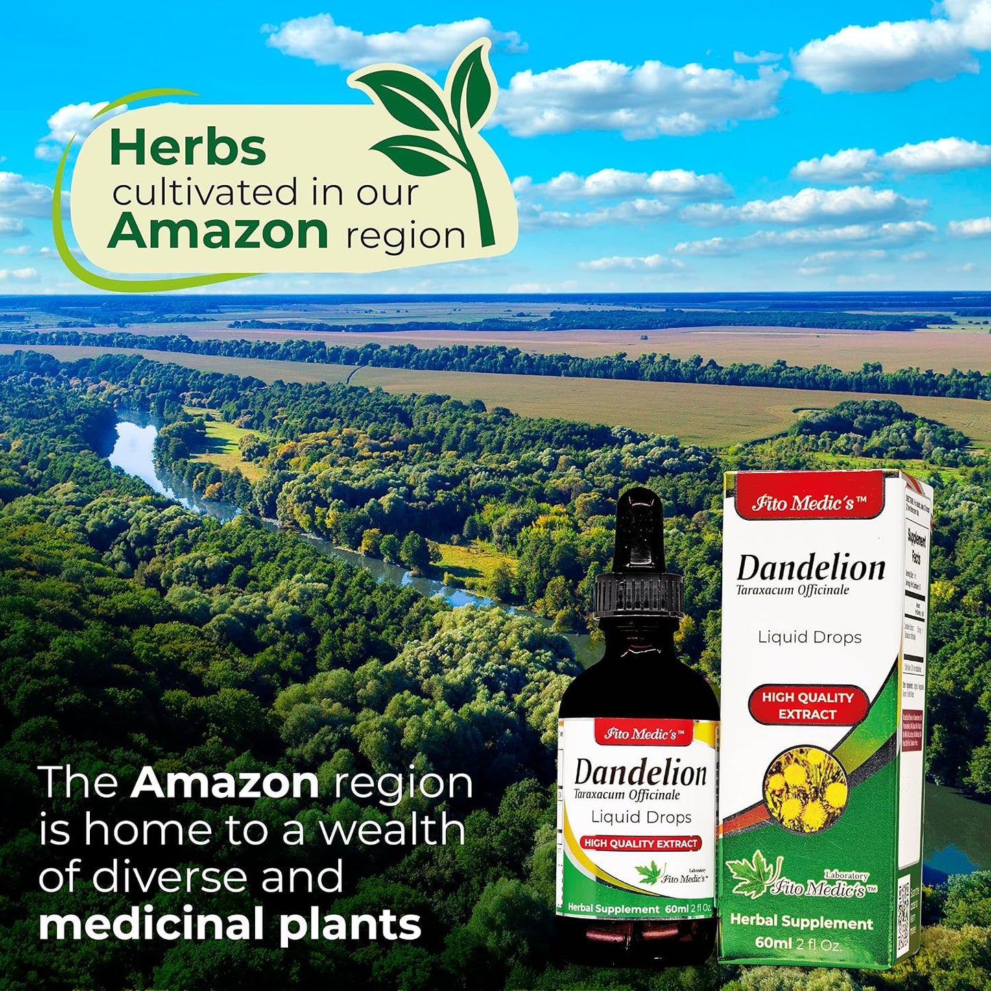 FITO MEDIC'S Dandelion Tincture – Vegan Dandelion Root Drops for Digestive Health & Immune Function, Alcohol-Free, Ultra High Absorption - görsel 3