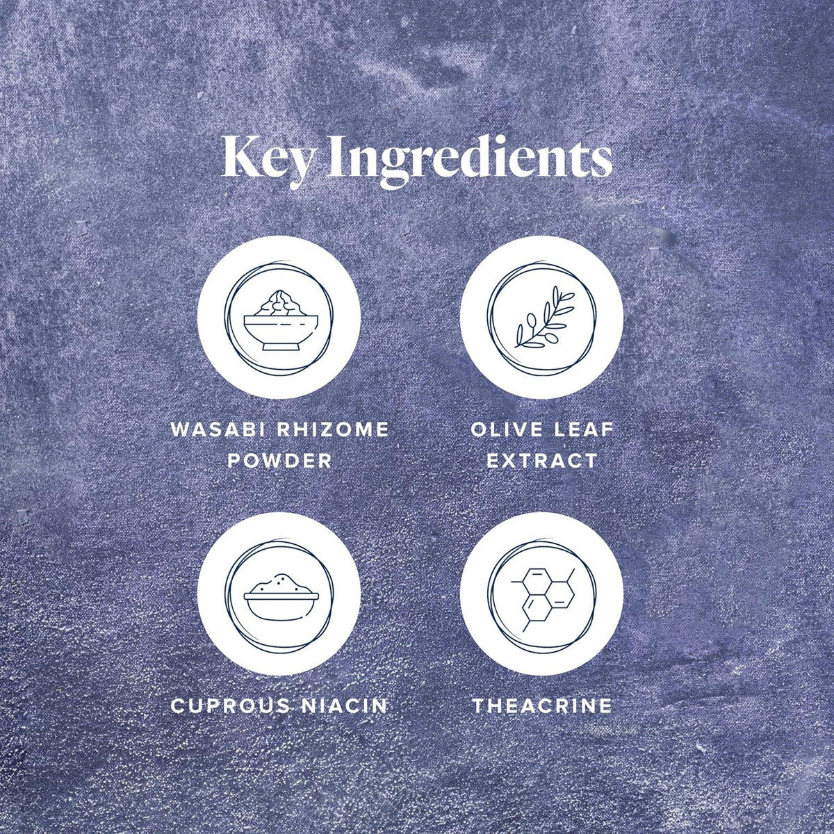 LifeVantage Protandim NAD Synergizer – 60 Capsules - görsel 3