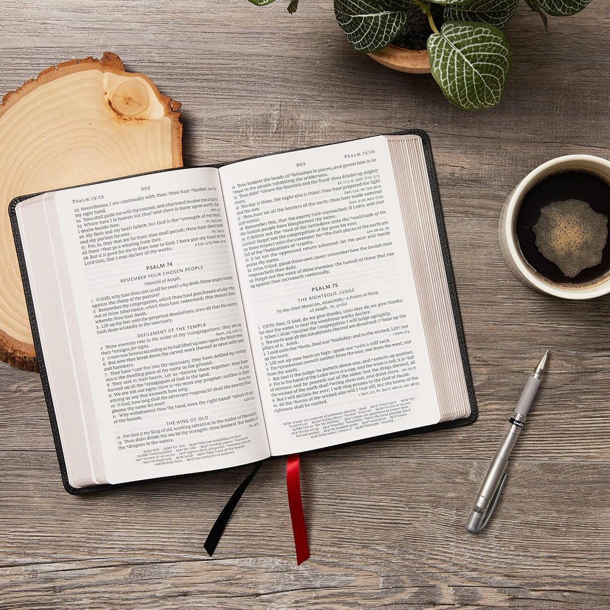 KJV Holy Bible: Large Print Single-Column with Cross References, Brown Leathersoft - görsel 5