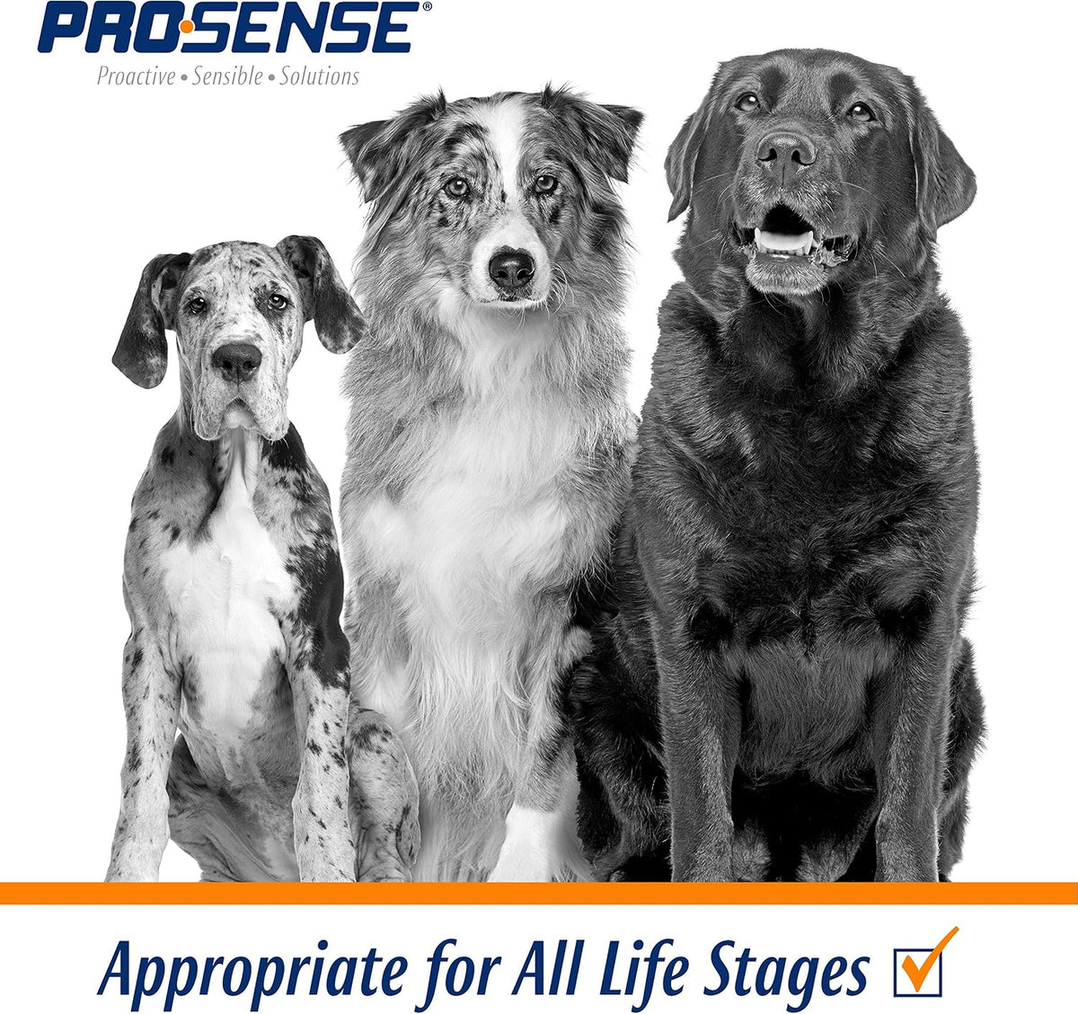 ProSense Vitamin Solutions 90 Count, Chewable Tablets for Dogs, Helps Support Overall Wellbeing (P-87039) - görsel 4