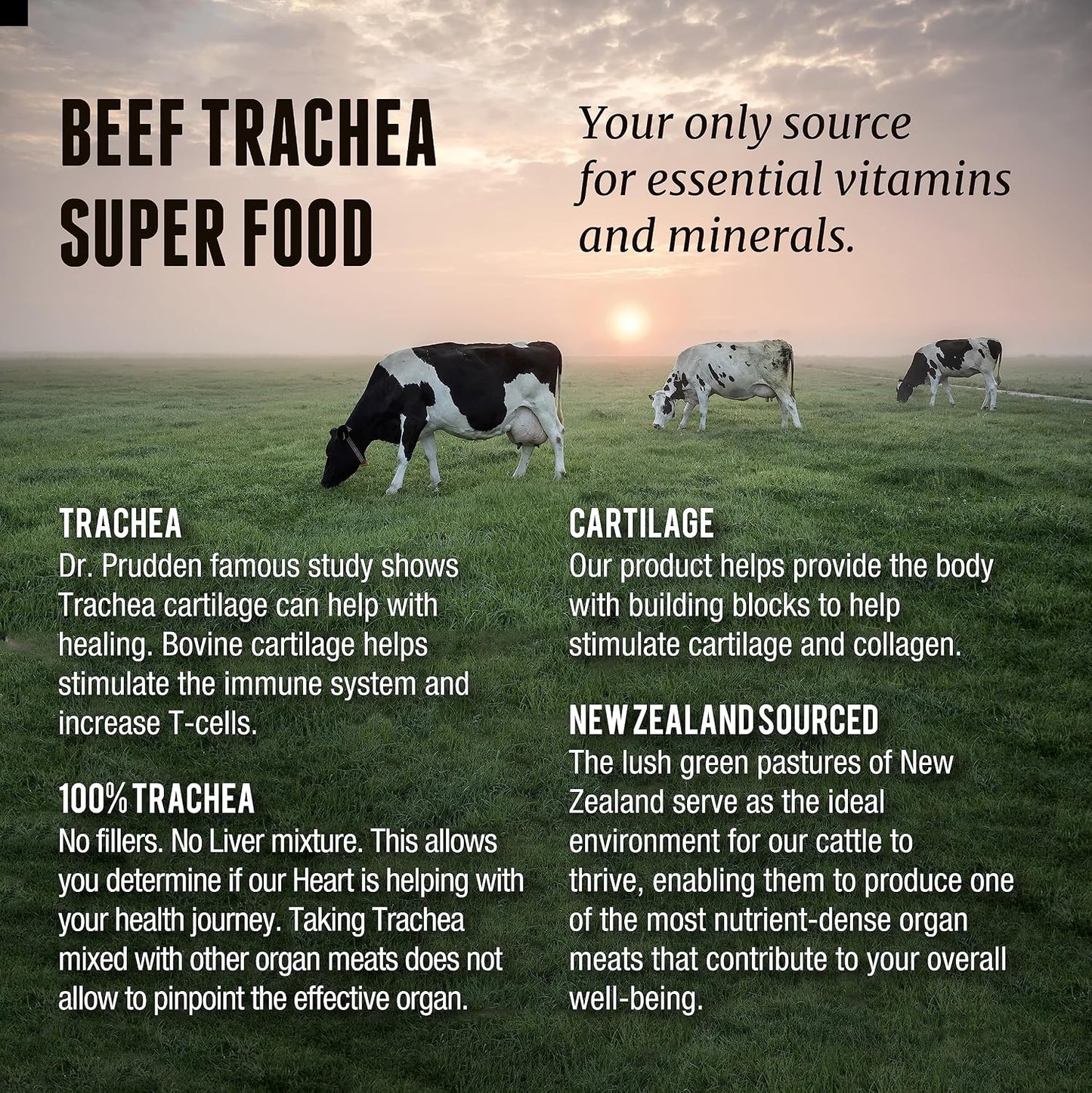 Grass Fed Beef Trachea - New Zealand Sourced, 3000mg (200 Capsules) - görsel 5