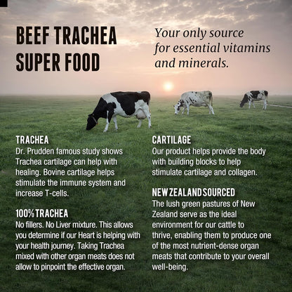 Grass Fed Beef Trachea - New Zealand Sourced, 3000mg (200 Capsules)