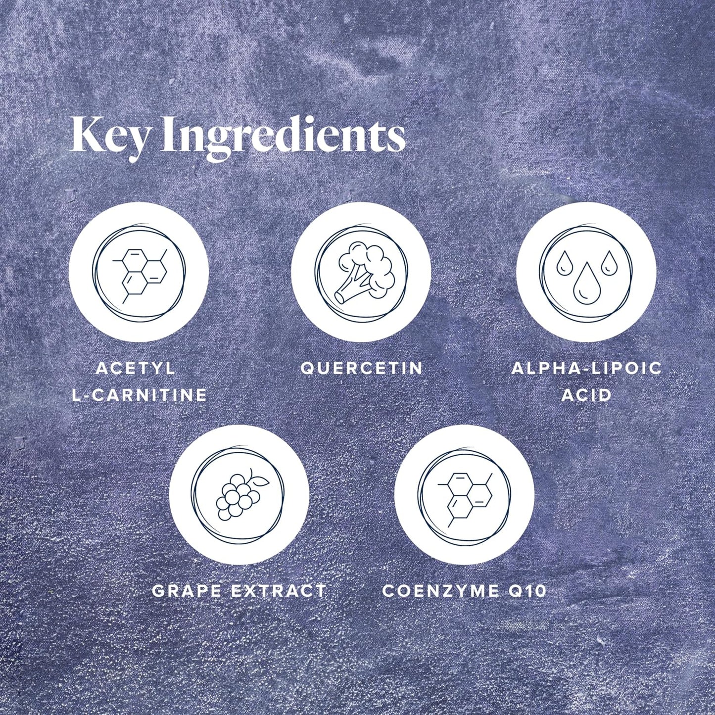 LifeVantage Protandim NRF1 Synergizer – NRF1 Activator for Cellular Health, Energy & Vitality, 60 Capsules - görsel 3